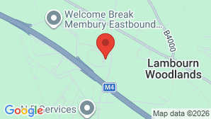 google map image
