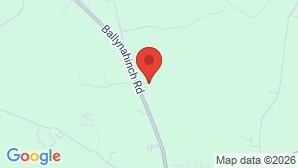 google map image