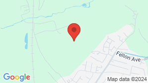 google map image