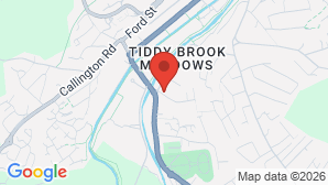 google map image