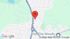 google map image
