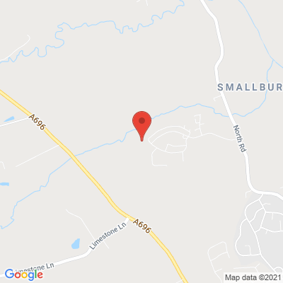 google map image
