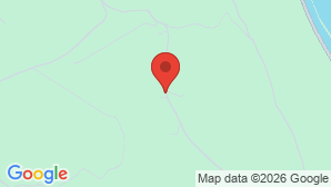 google map image