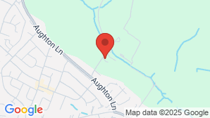 google map image