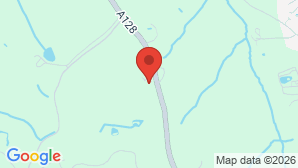 google map image