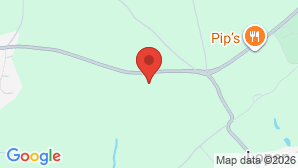 google map image