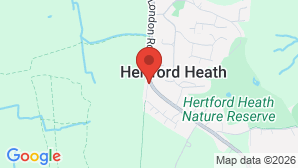 google map image
