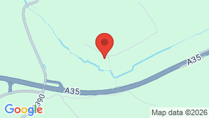 google map image