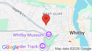google map image