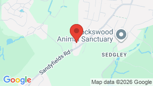 google map image