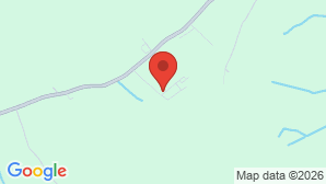 google map image