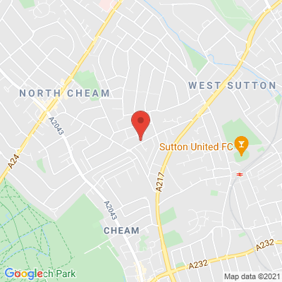 google map image