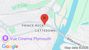 google map image