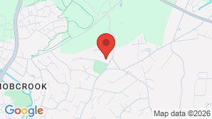 google map image