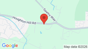 google map image