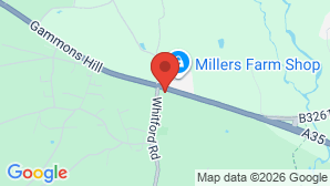 google map image