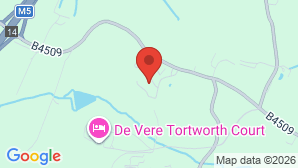 google map image