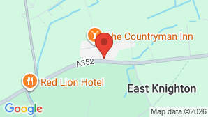 google map image