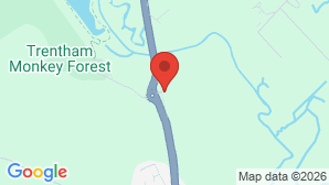 google map image