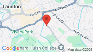google map image