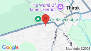 google map image