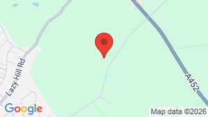 google map image
