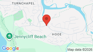 google map image