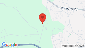 google map image