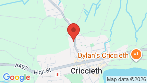 google map image