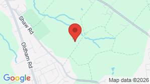 google map image