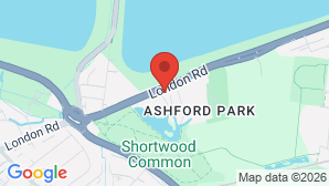 google map image