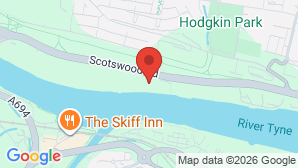 google map image
