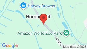 google map image