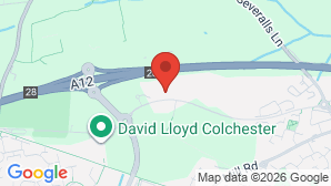 google map image
