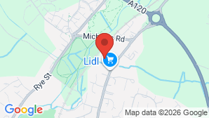 google map image
