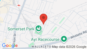 google map image