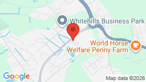google map image