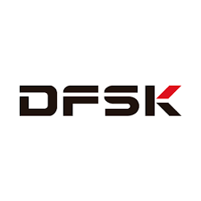 DFSK